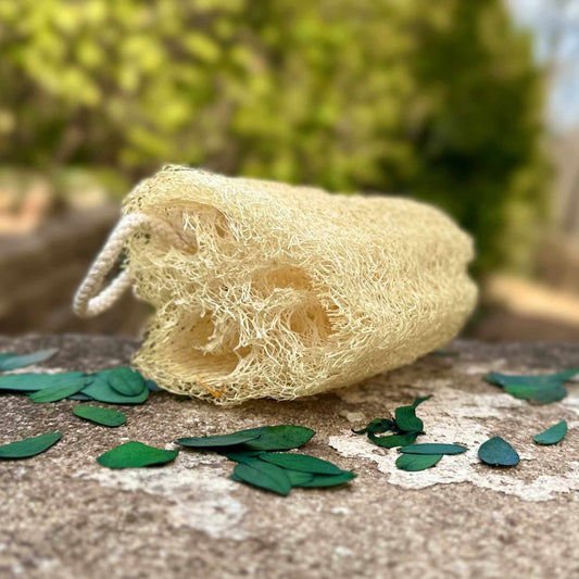 Loofah sponge on a stone surface with green leaves in the background