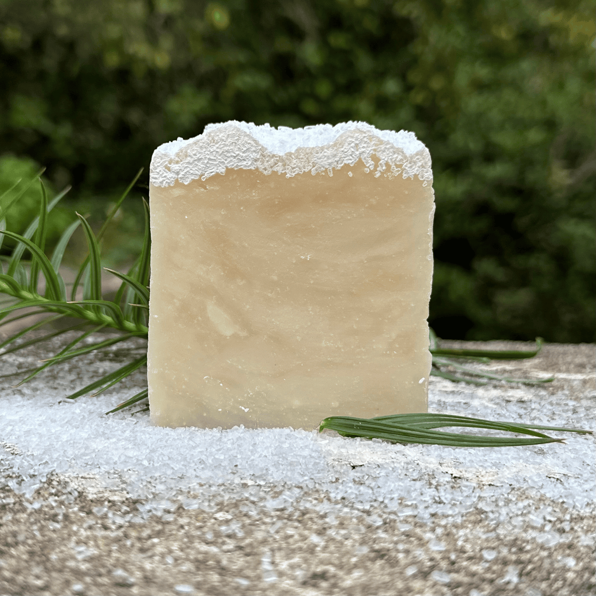 Balsam + Fir Shea Soap