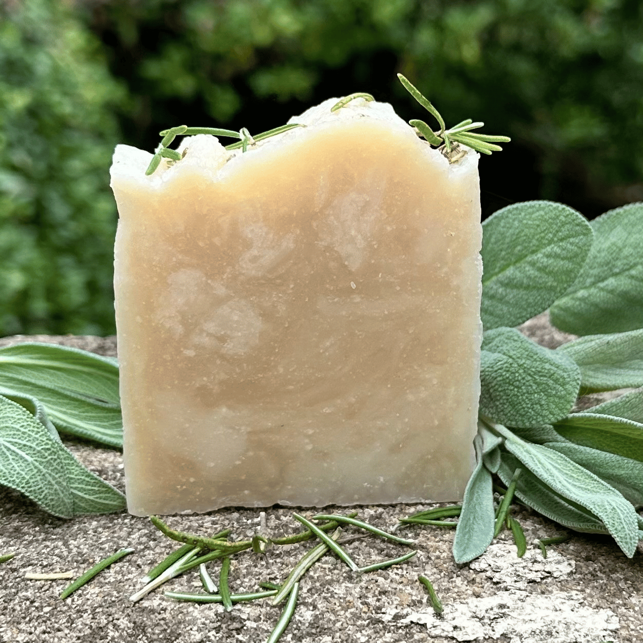 Rosemary + Sage Shea Soap