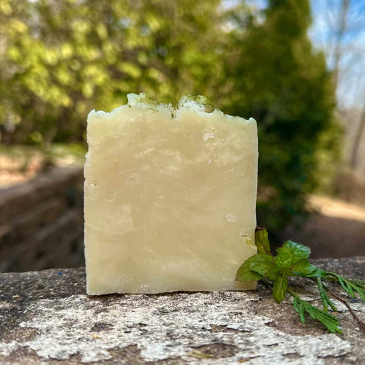 Bar of soap with greenery on a stone surface outdoors