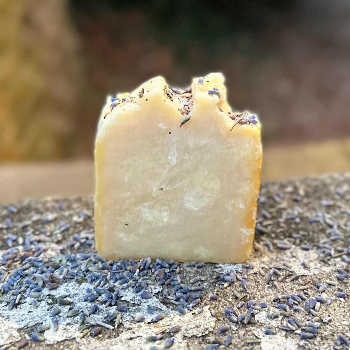 Bar of soap with lavender buds on a textured surface