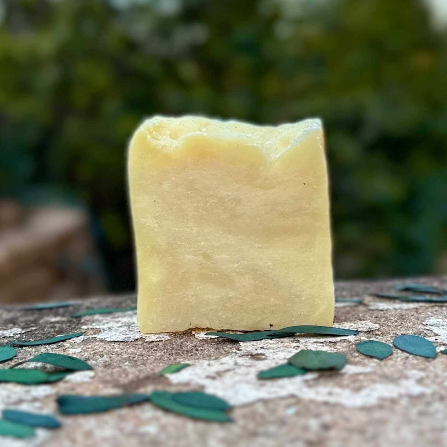 Bar of soap on a textured surface with green leaves in the background