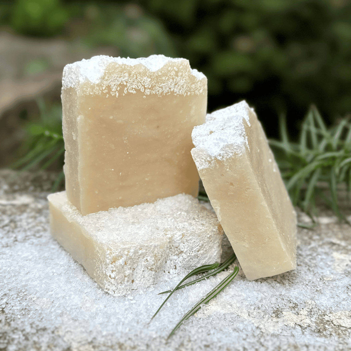 Balsam + Fir Shea Soap