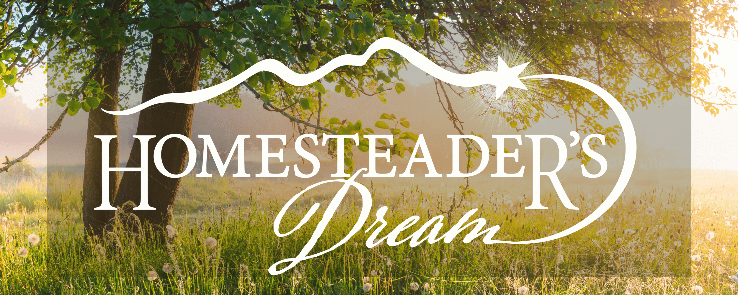 Logo for 'Homesteader's Dream' with a scenic background of a large oak tree and tall grass.
