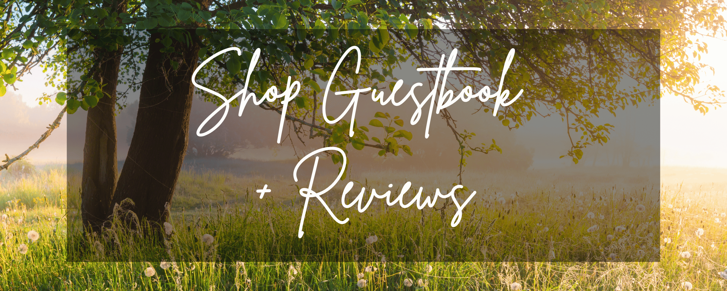 Nature scene with 'Shop Guestbook + Reviews' text overlay
