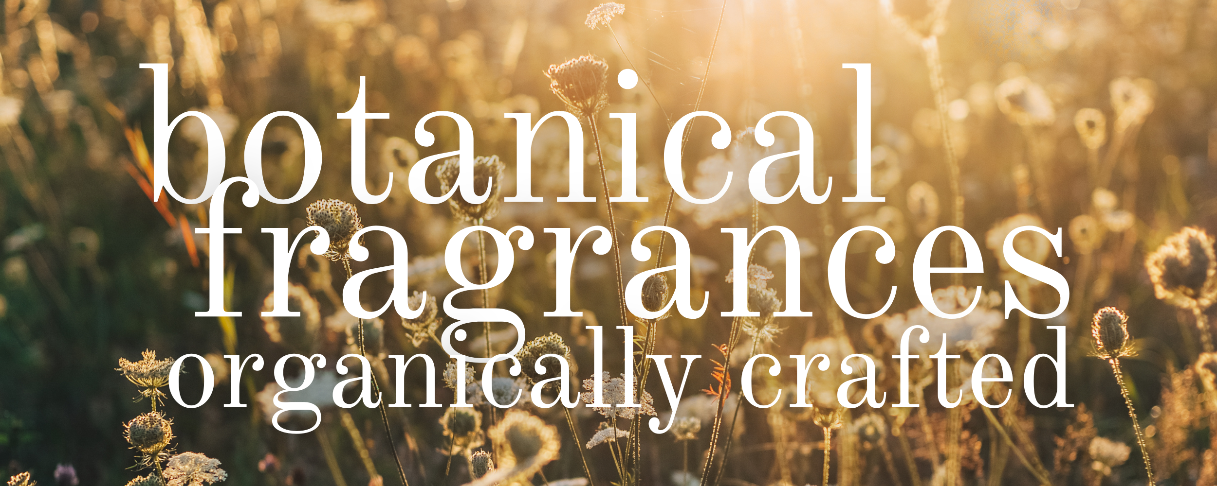 organically crafted botanical fragrances text of winter field of flowers