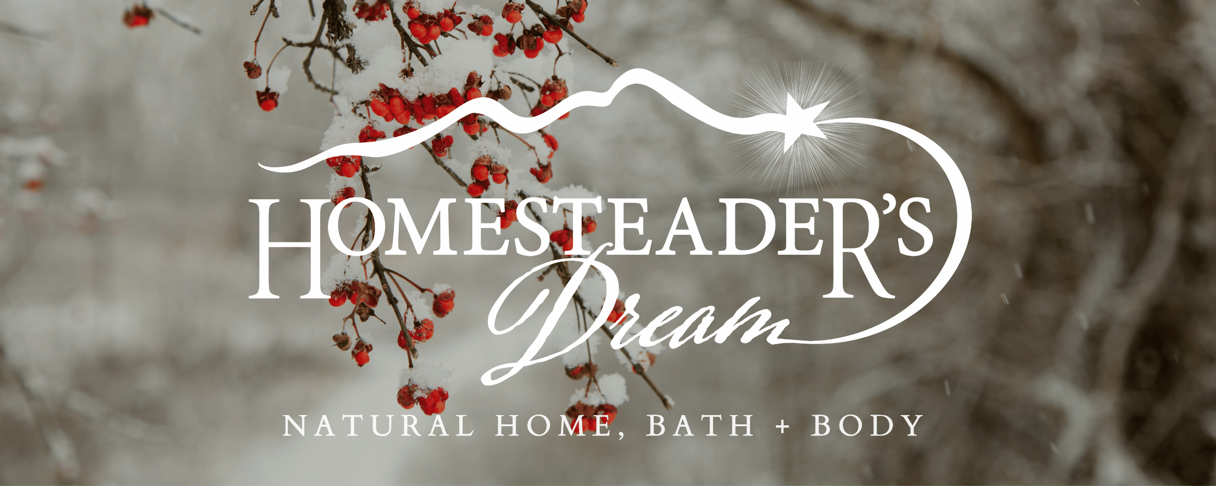 February home page image, snow on red berries