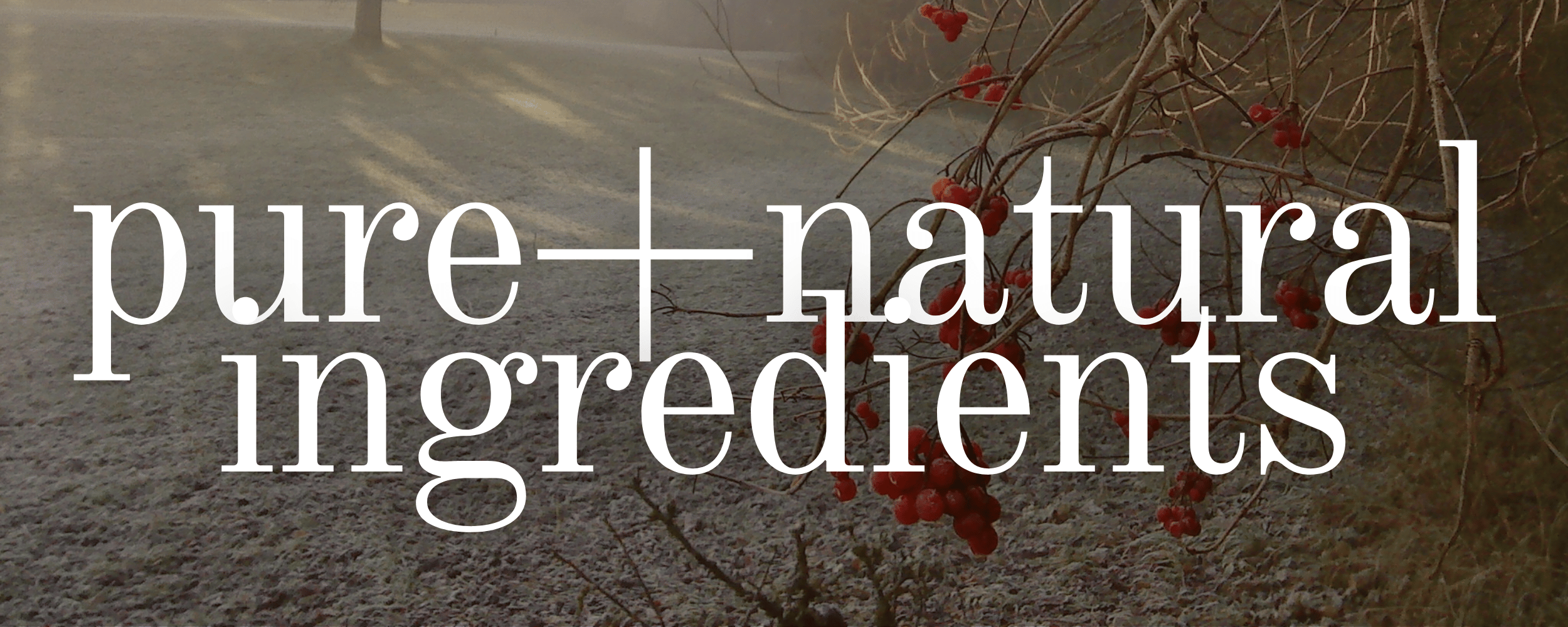 100% of our ingredients are pure + natural