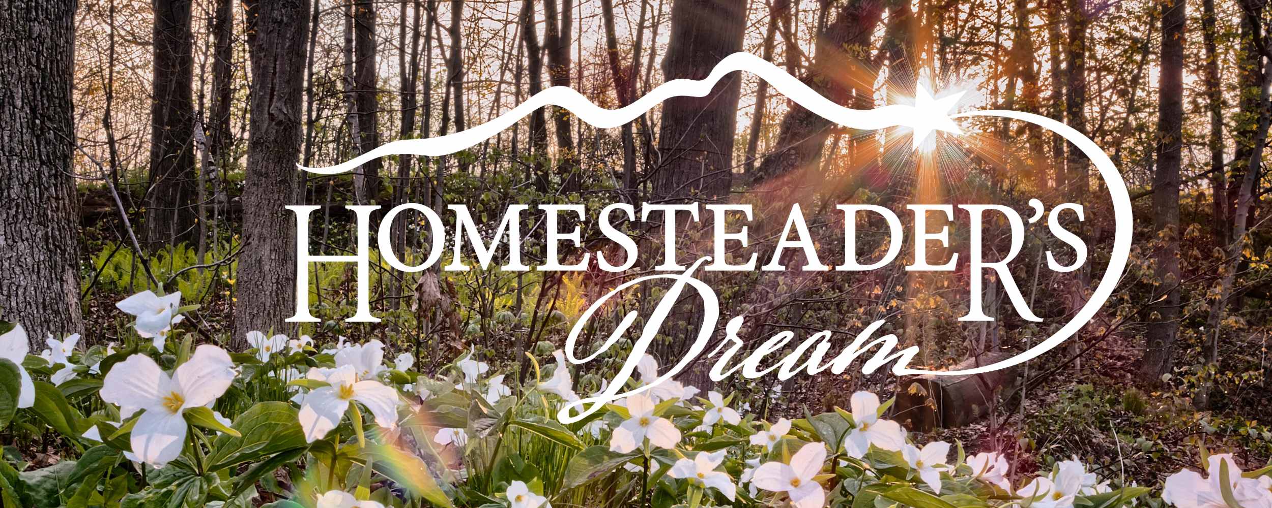 Forest scene with 'Homesteader's Dream' text overlay