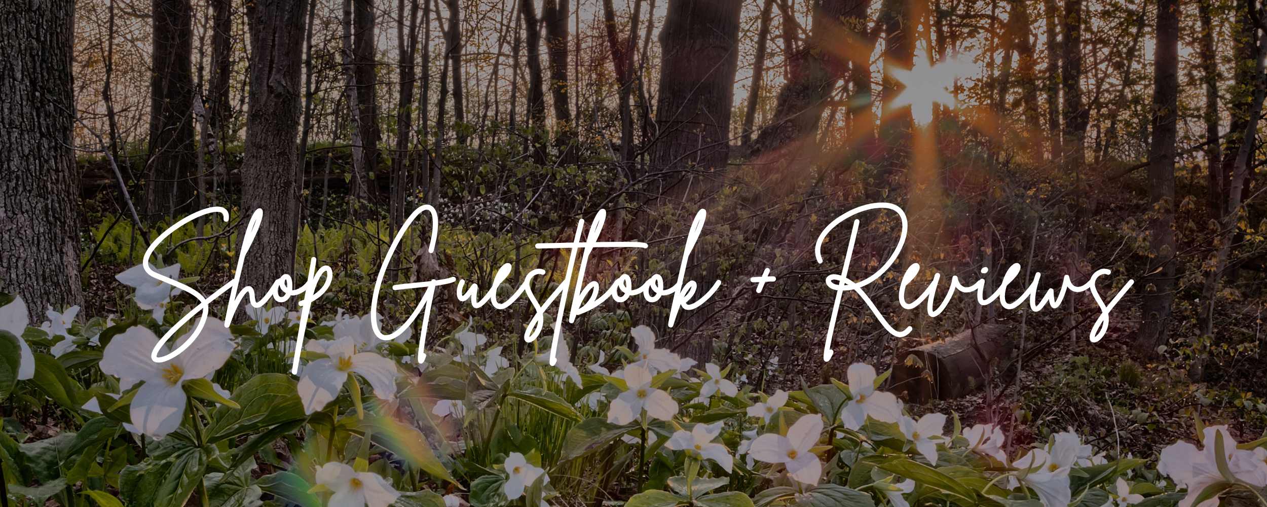 Forest scene with flowers and text overlay 'Shop Guestbook + Reviews'.