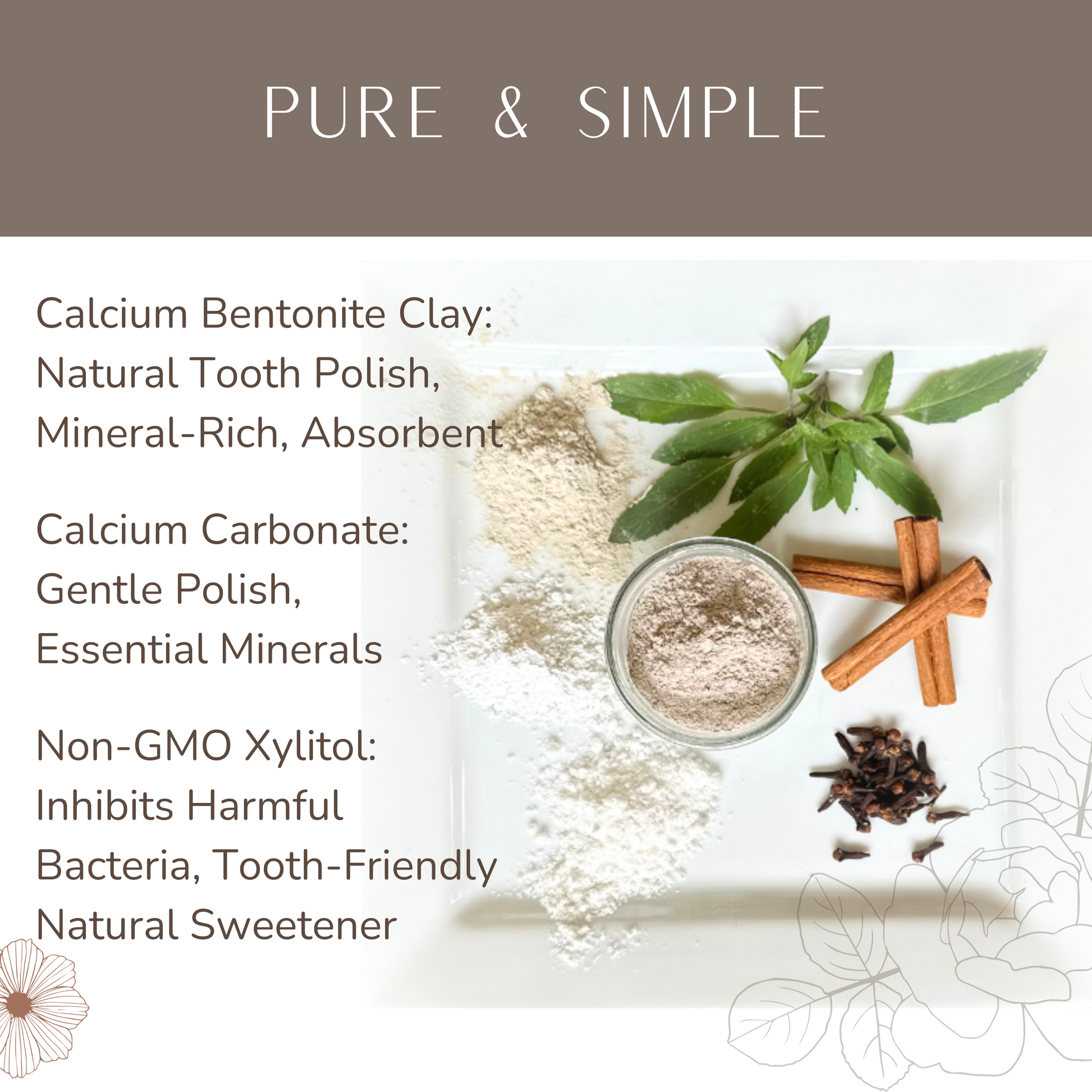 Homesteader's Dream Tooth Powder Top Quality All Natural Ingredient List