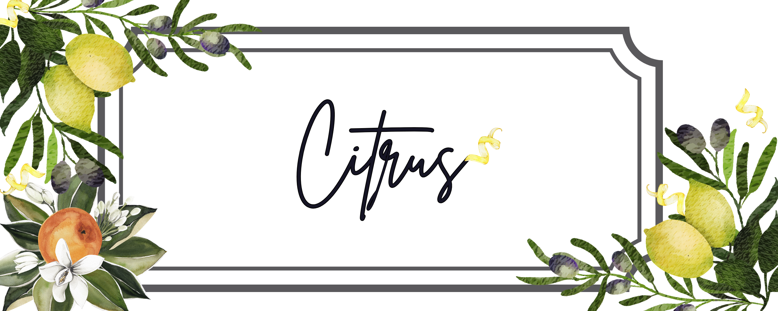 Decorative banner with 'Citrus' text surrounded by lemon and orange illustrations.