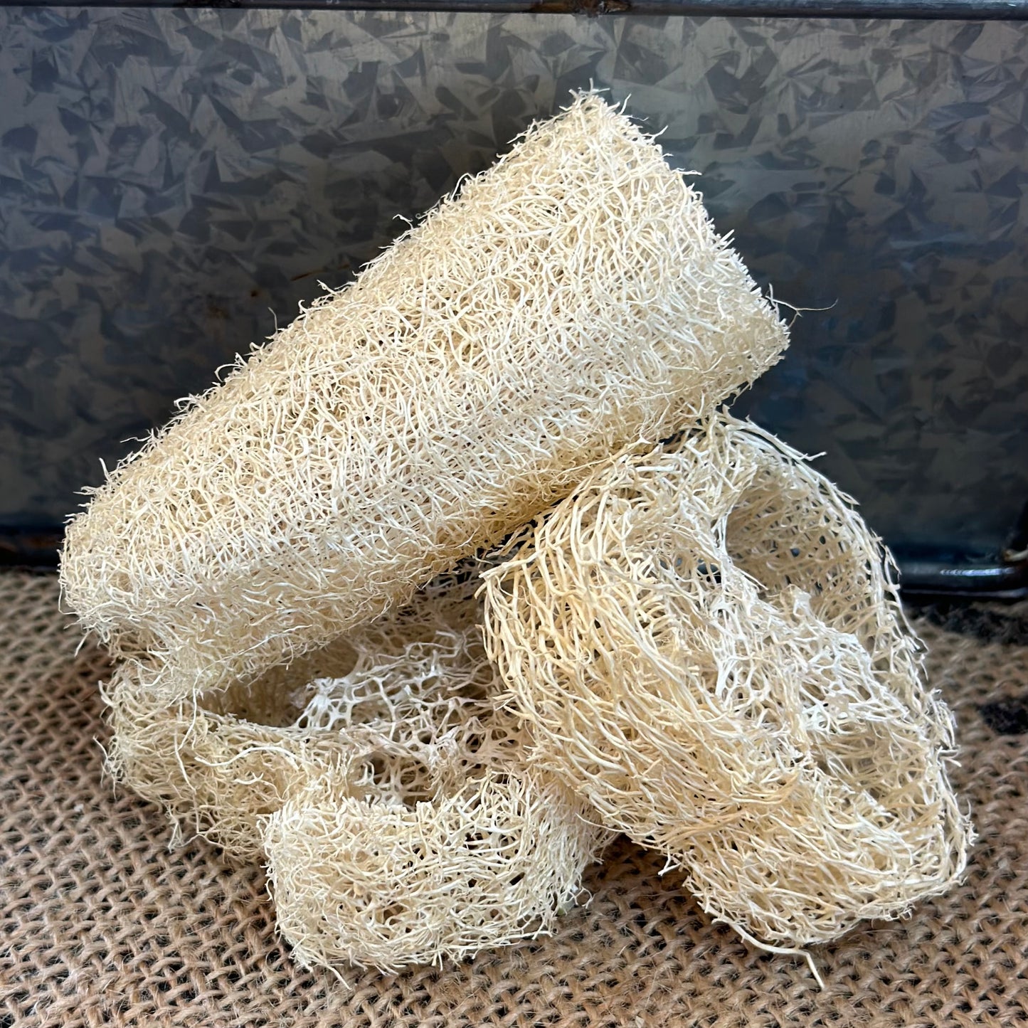 comparison photo of large and small loofahs