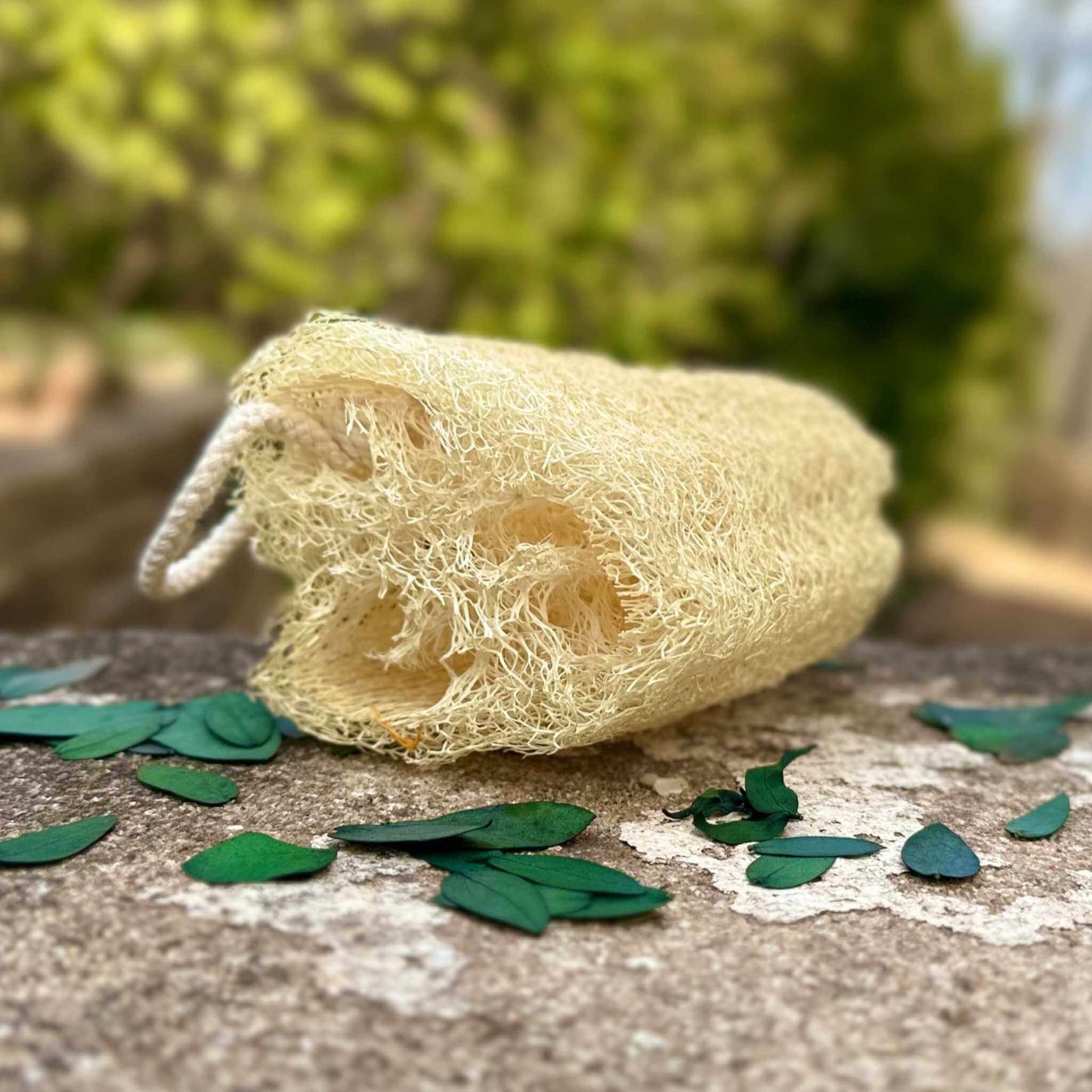 Loofah sponge on a stone surface with green leaves in the background