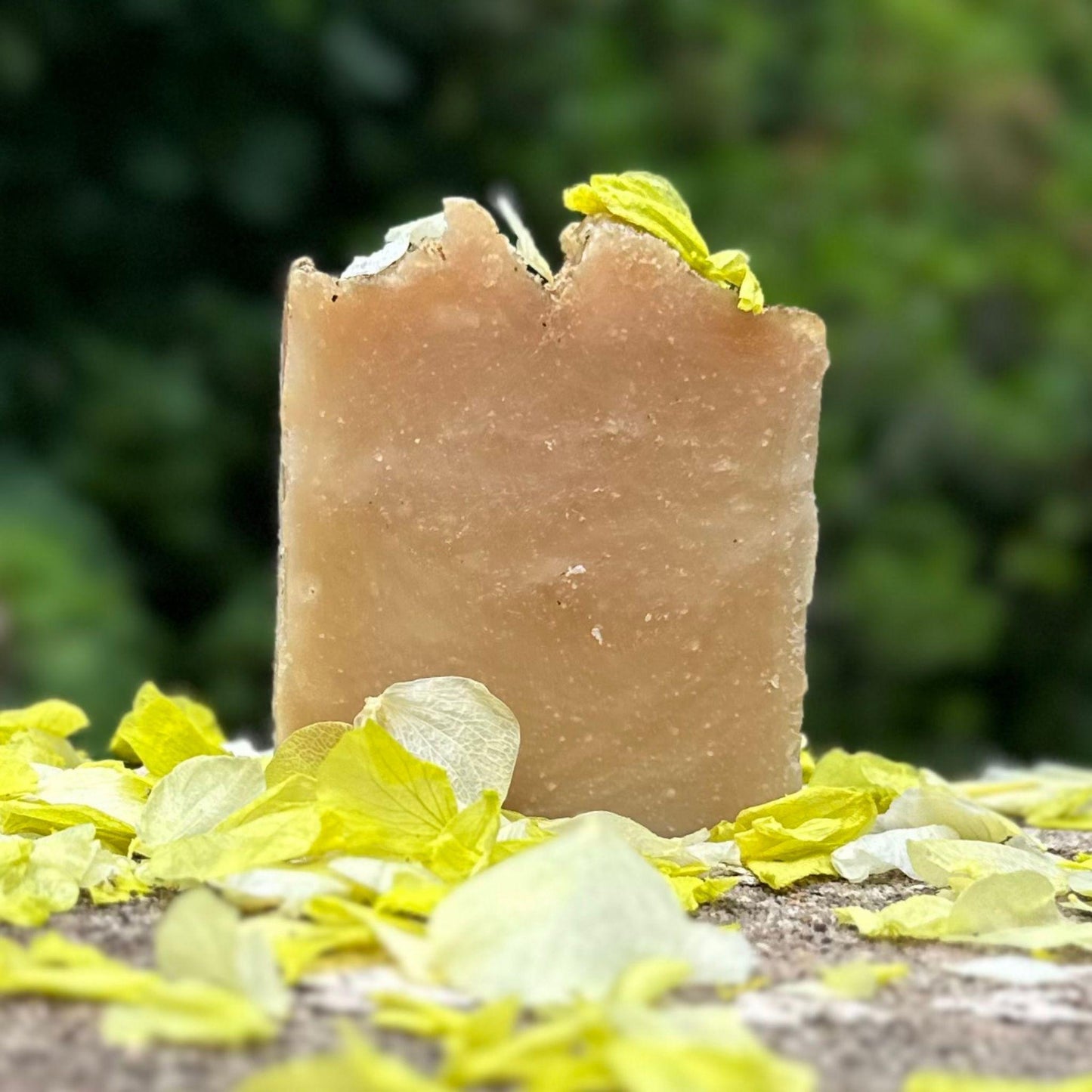 Bar of lime verbena soap with green leaves on a natural background
