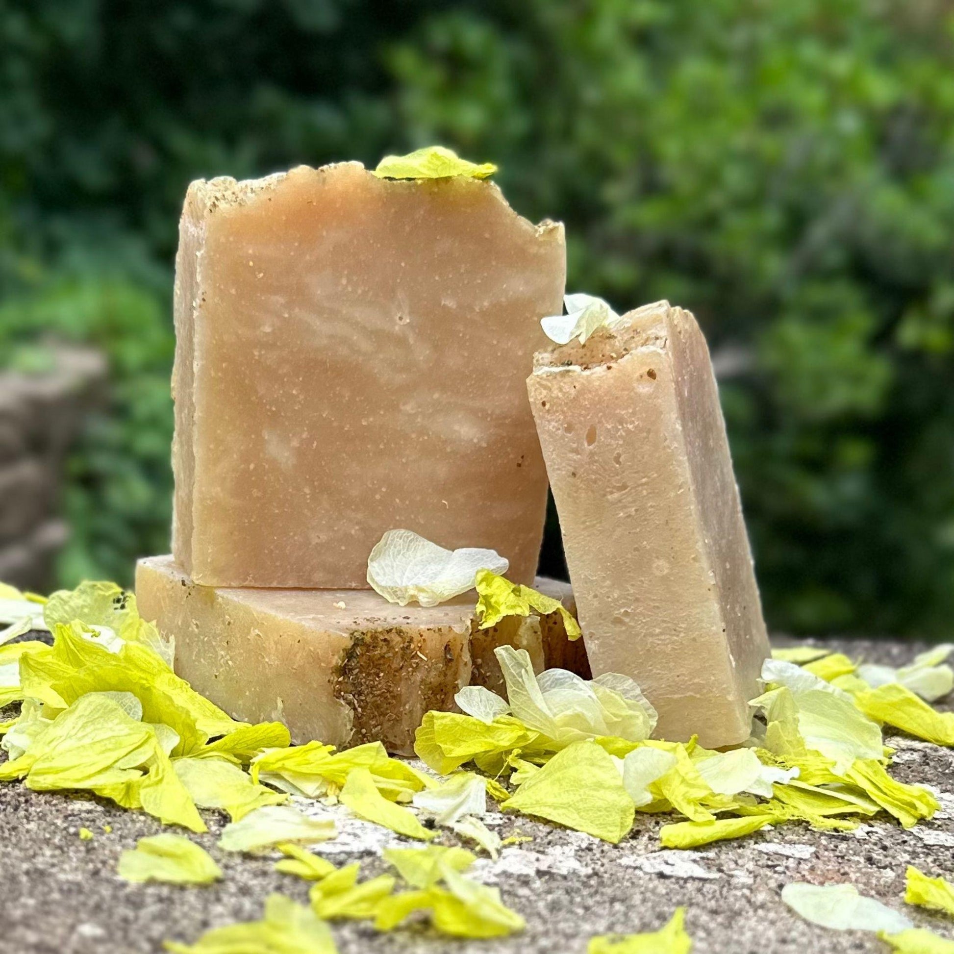 Three bars of lime verbena soap with green leaves on a natural stone surface with a blurred green background