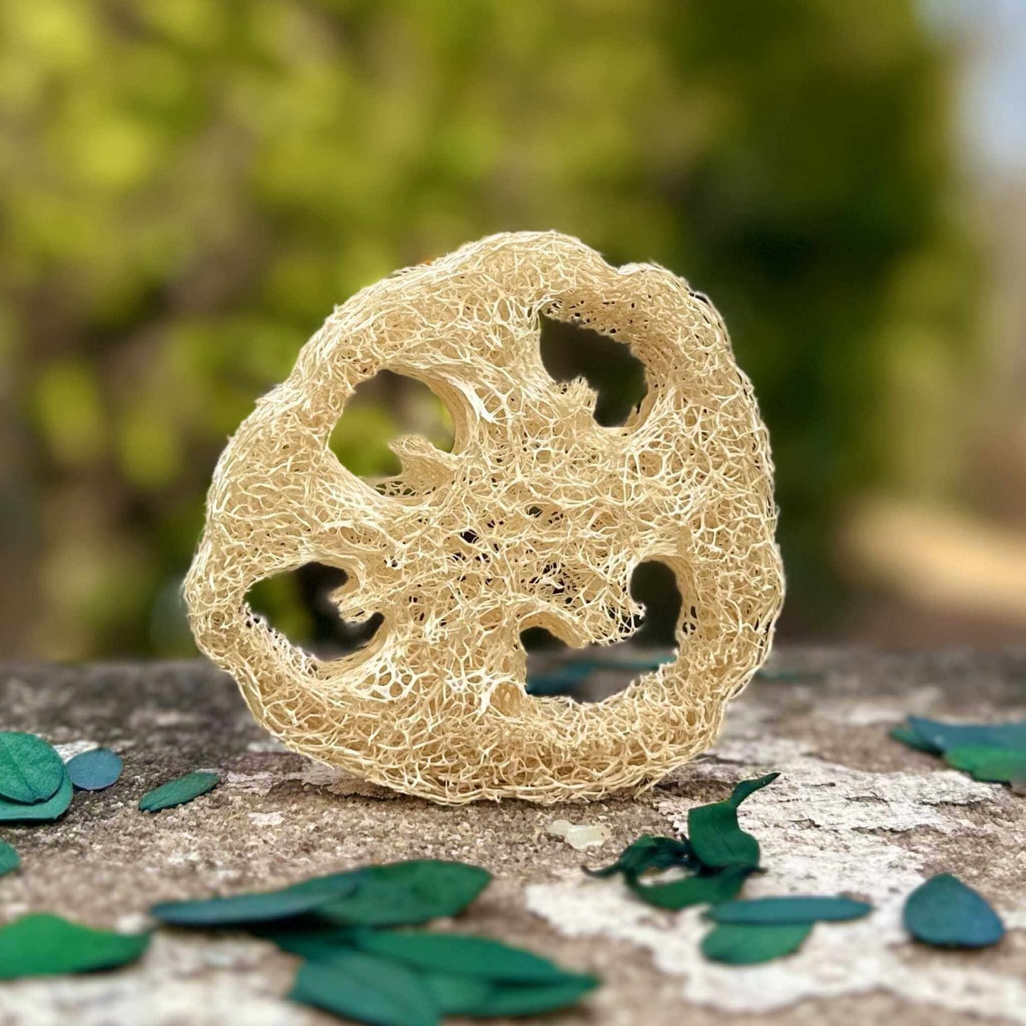 Loofah sponge on a stone surface with green leaves in the background