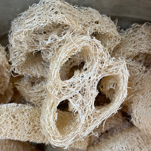 small loofah slices